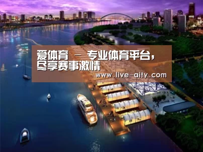案例展示八