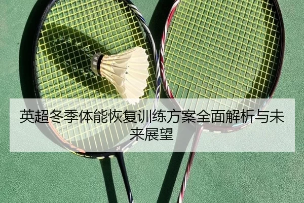 英超冬季体能恢复训练方案全面解析与未来展望