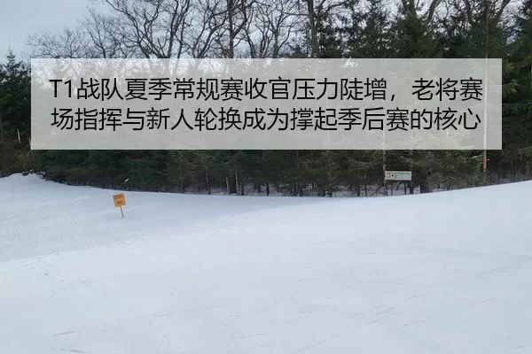 zhan-dui-xia-ji-chang-gui-sai-shou-guan-ya-li-dou-zeng-lao-jiang-sai-chang-zhi-hui-yu-xin-ren-lun-huan-cheng-wei-cheng-2-100.jpg