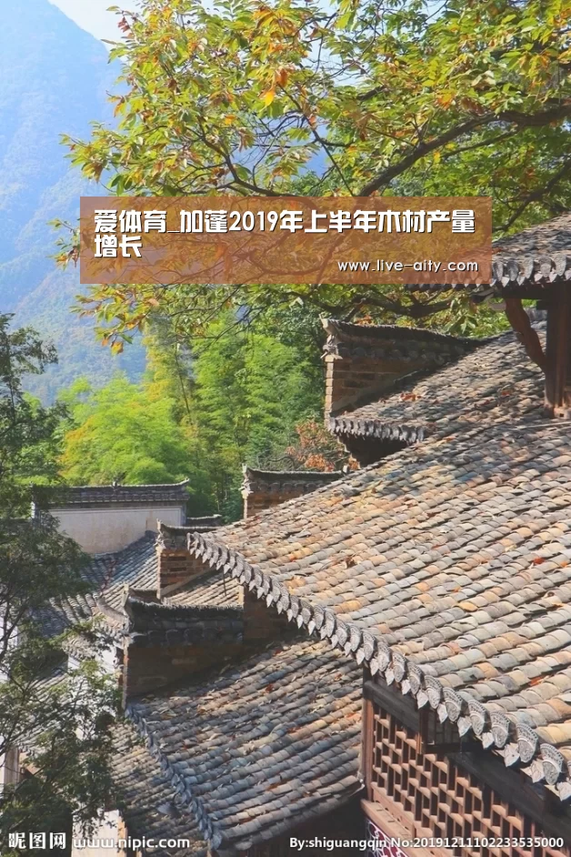 爱体育_加蓬2019年上半年木材产量增长(图1) 爱体育