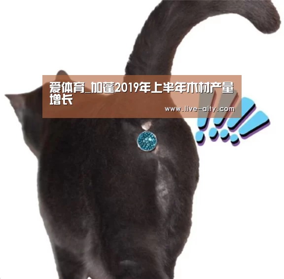 爱体育_加蓬2019年上半年木材产量增长(图2) 爱体育