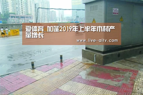 爱体育_加蓬2019年上半年木材产量增长(图3) 爱体育