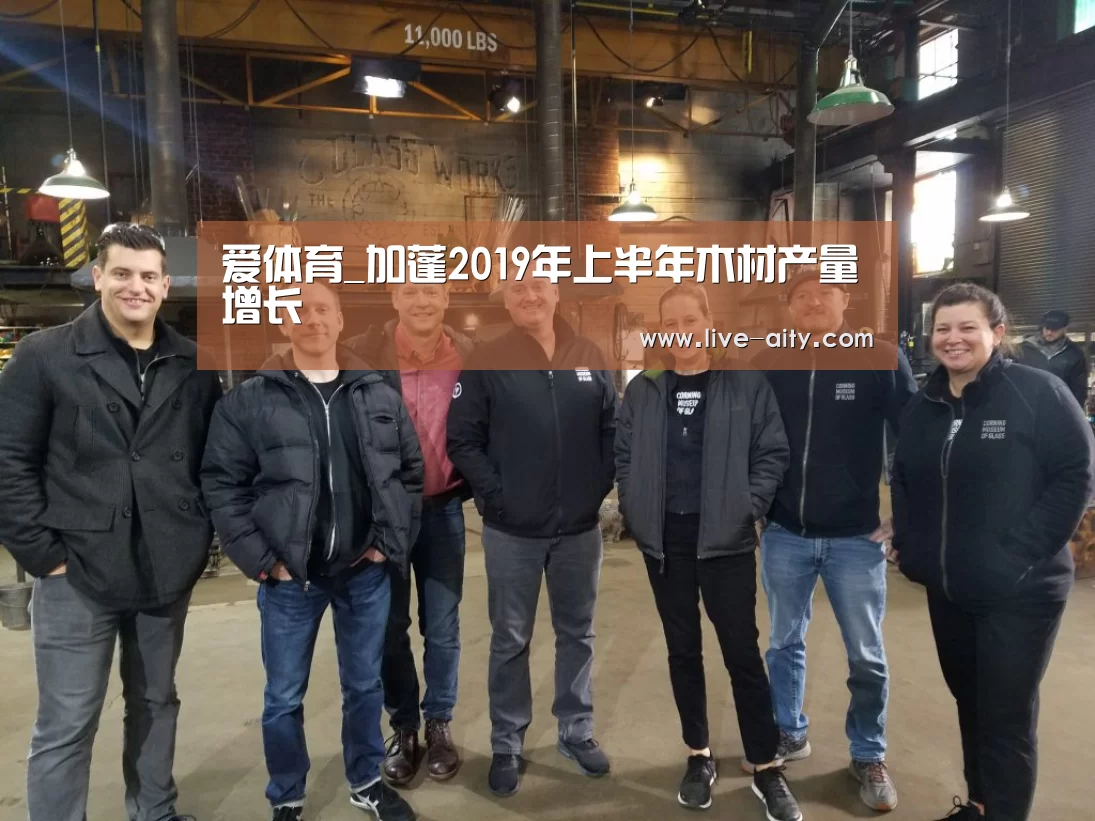 爱体育_加蓬2019年上半年木材产量增长(图4) 爱体育