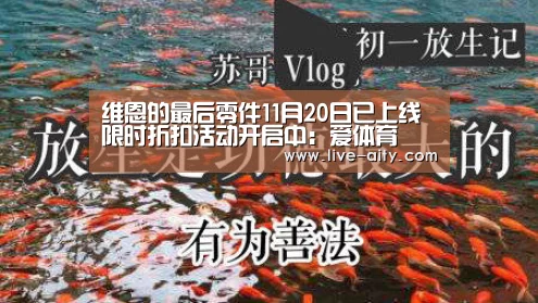 维恩的最后零件11月20日已上线 限时折扣活动开启中:爱体育(图4) 爱体育